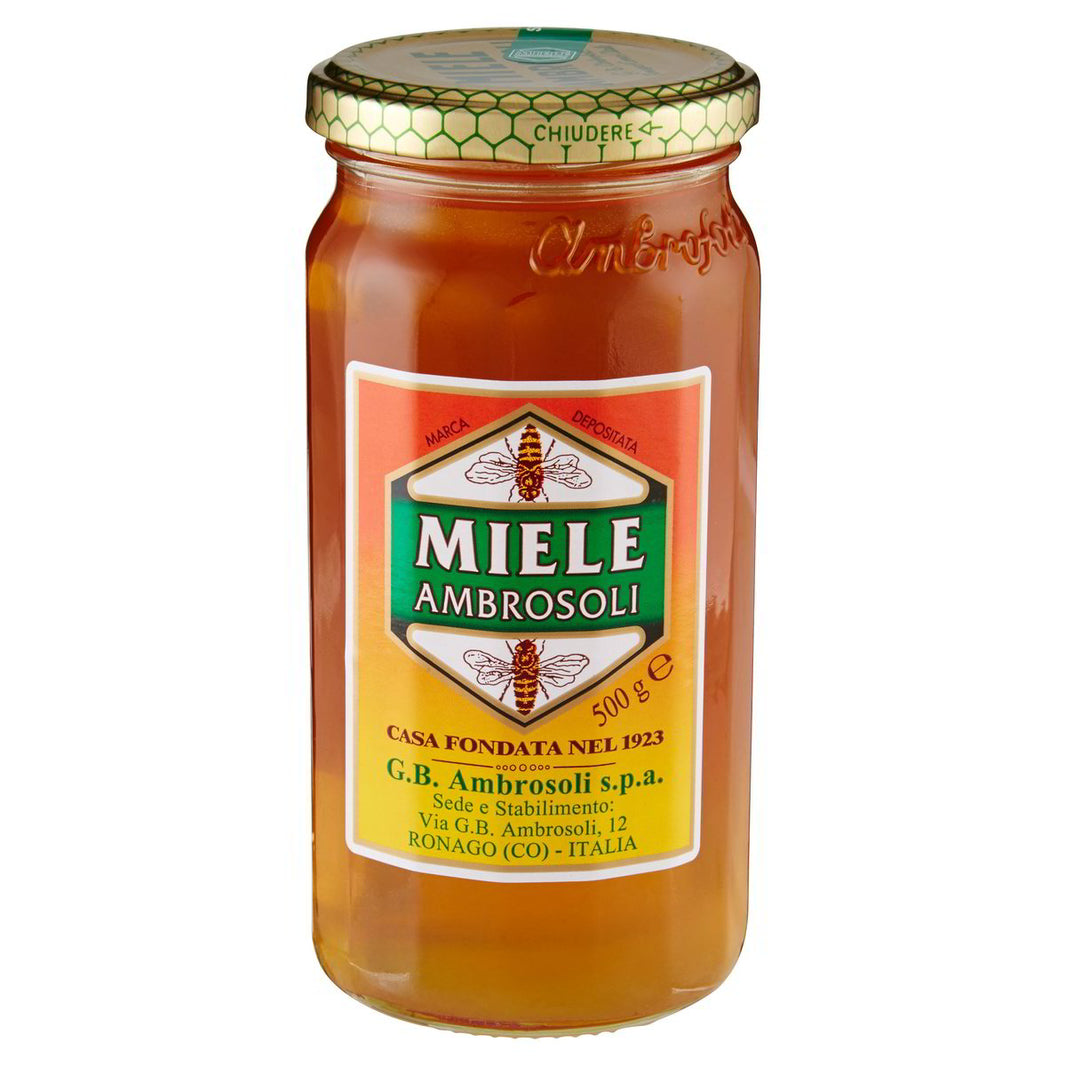 AMBROSOLI HONEY GR.500