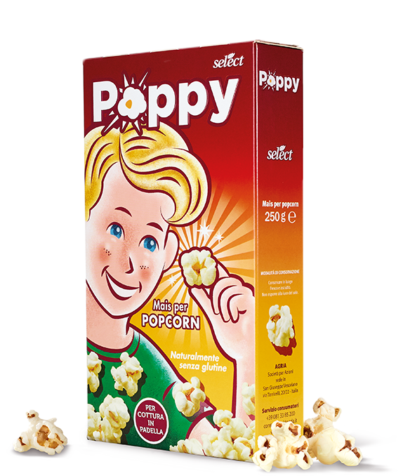 SELECTIONNER LE COQUILLET DE MAÏS POUR LE POPCORN GR.250