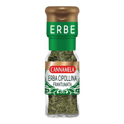 CANNAMELA ERBA CIPOLLINA GR.04