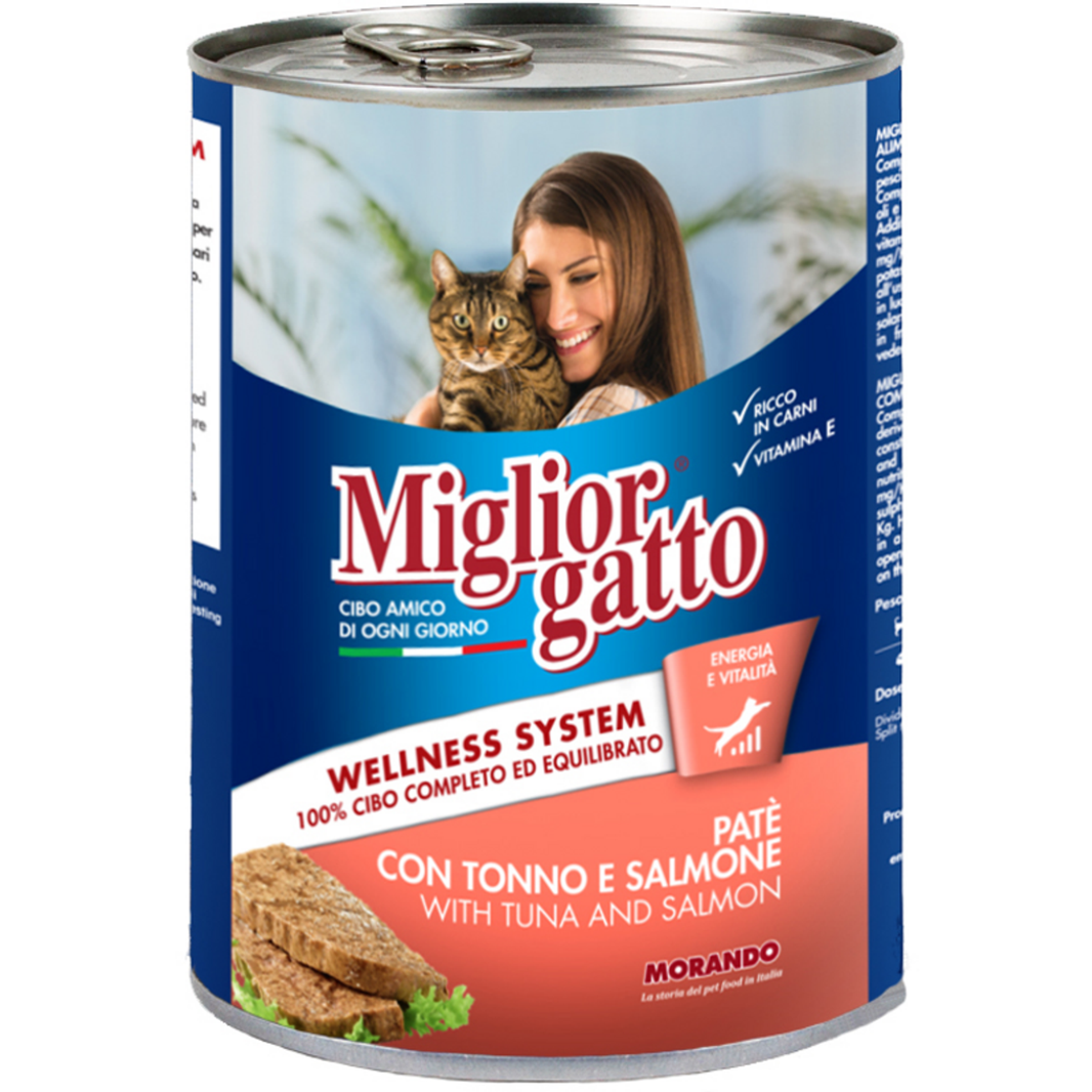 MEILLEURES MOUCHÉES DE CHAT SAUMON GR.400