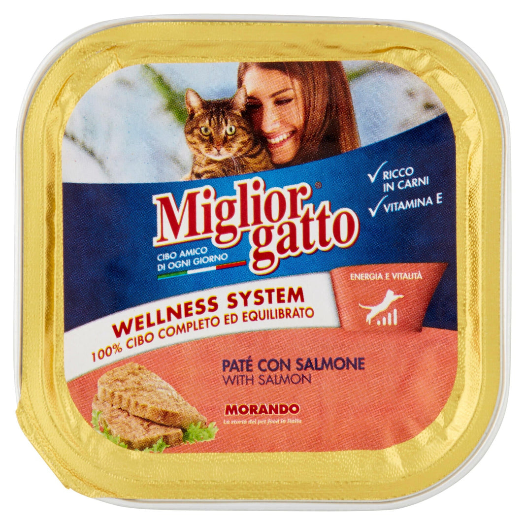 MEILLEUR PÂTÉ DE CHAT AU SAUMON GR.100