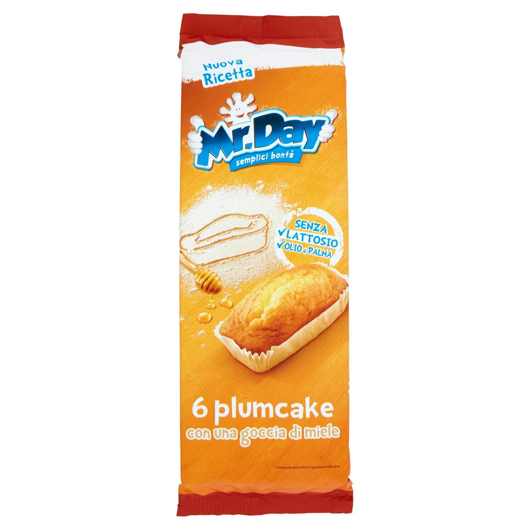 MISTERDAY CLASSIC PLUMCAKE GR.190