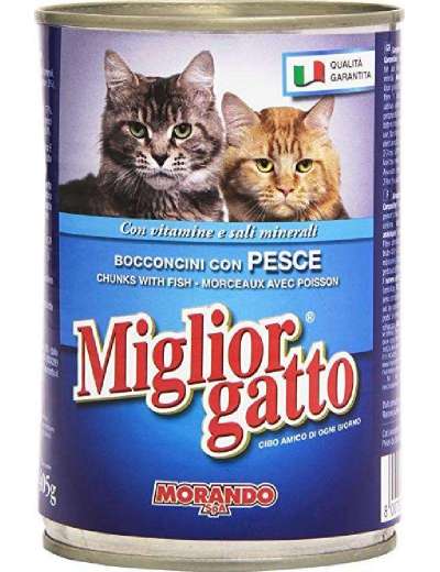 POISSON MIGLIOGATTO BOCCONCINI GR.405