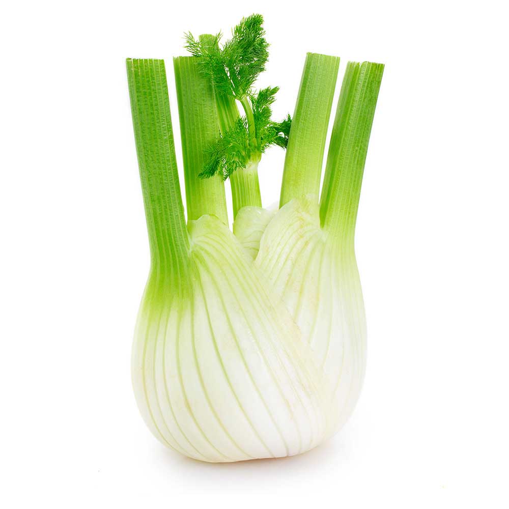 LOCAL FENNEL CAT.II LOCAL
