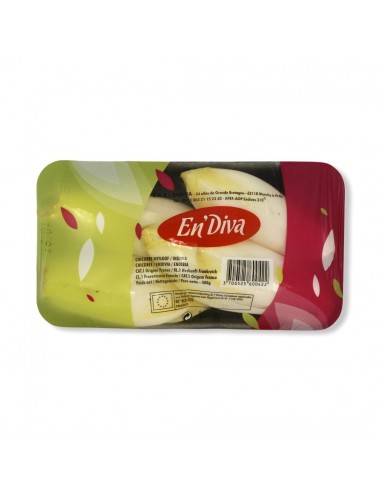 EN'DIVA INSALATA INDIVIA BELGA GR.500