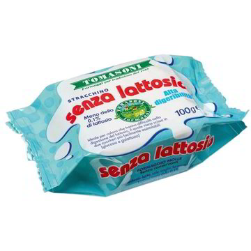 TOMASONI STRACCHINO SENZA LATTOSIO GR100